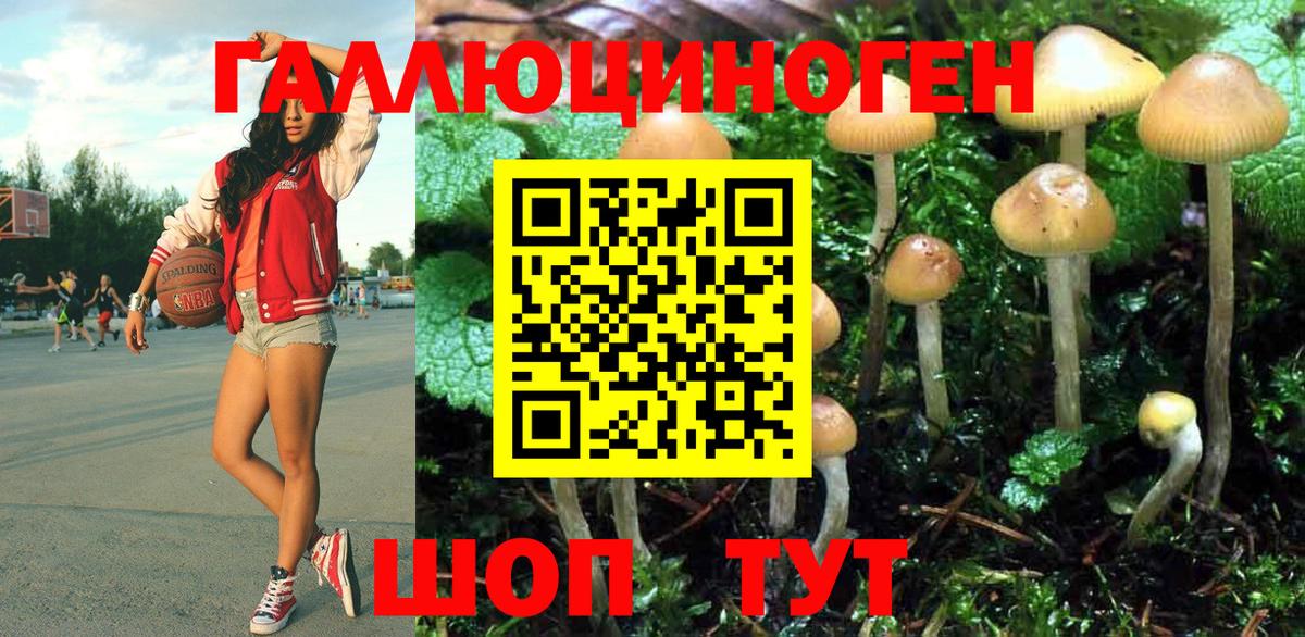 Кимовск  Псилоцибиновые грибы мухоморы  Вход с VPN 